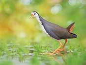 Sue Hsu's photo